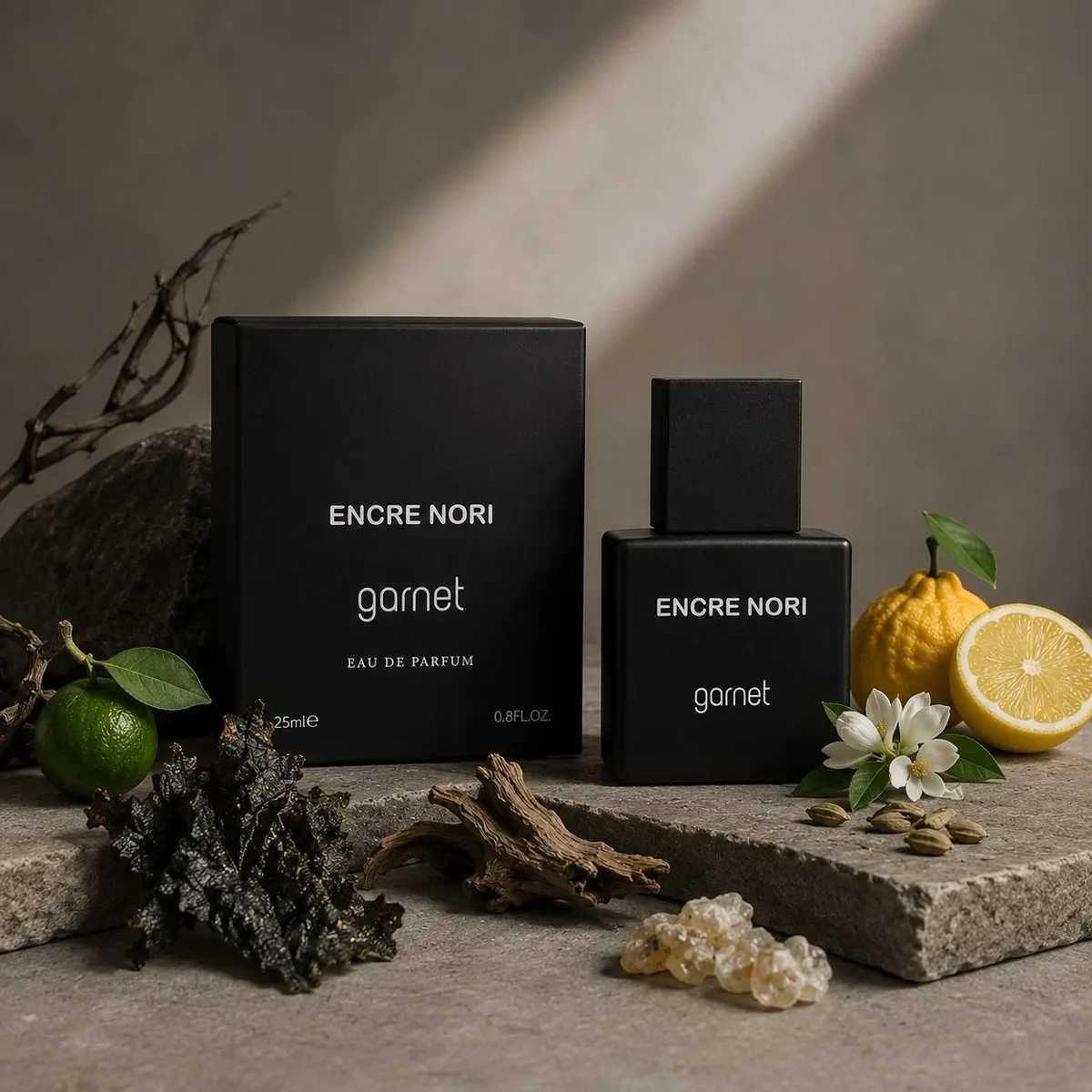 عطر جیبی مردانه گارنت مدل ENCERE NOIR با رایحه معتدل و چوبی دریایی حجم 25 میلیلیتر