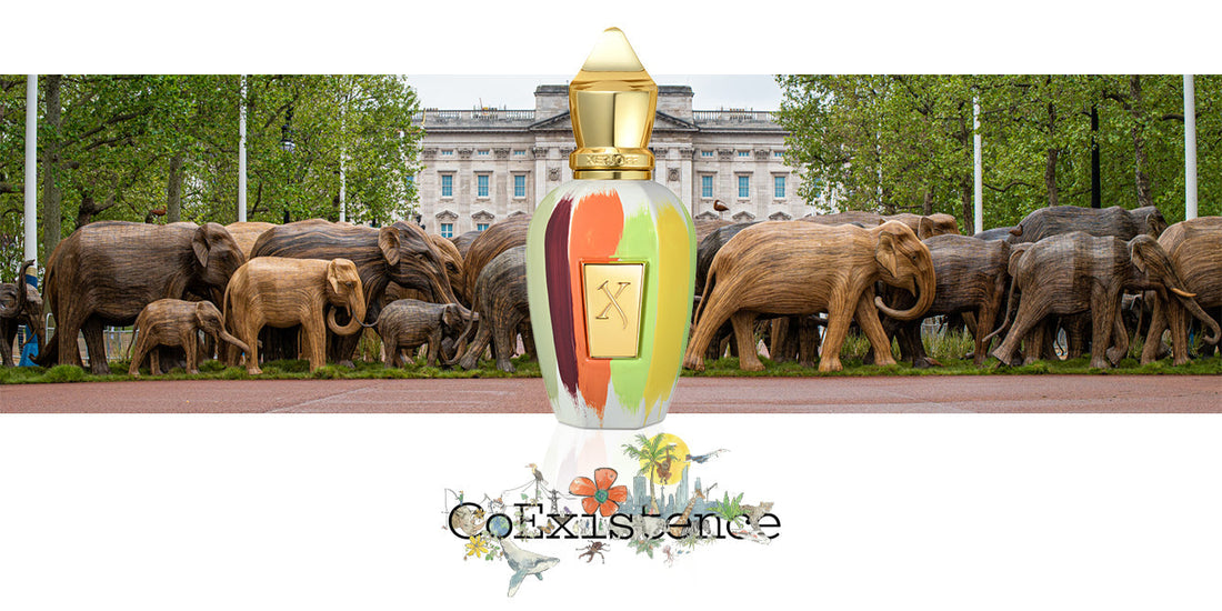 The Great Elephant Migration