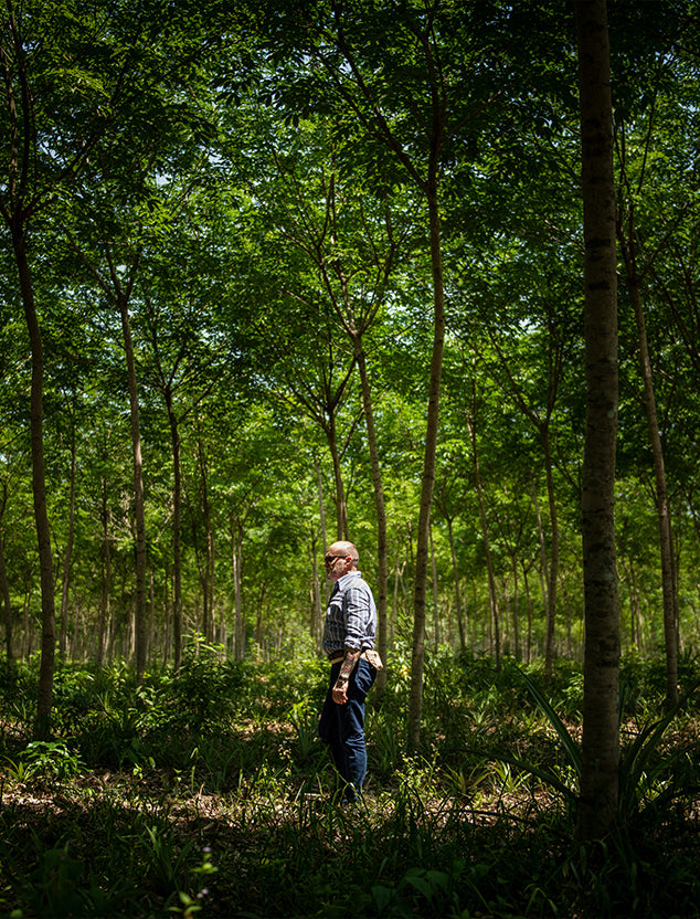 Nature & Craftsmanship