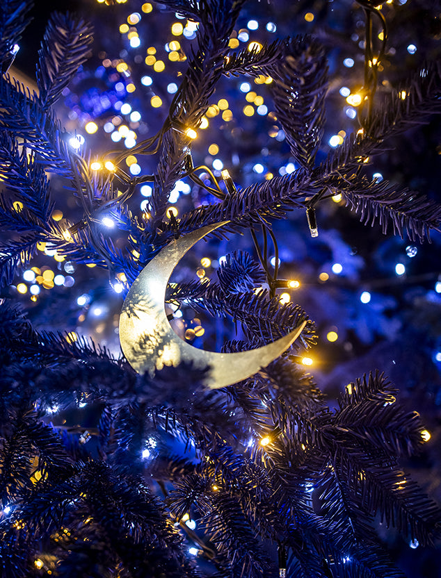 Natale degli Alberi